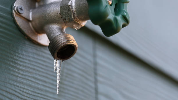 Best Water Leak Repair  in Everett, WA